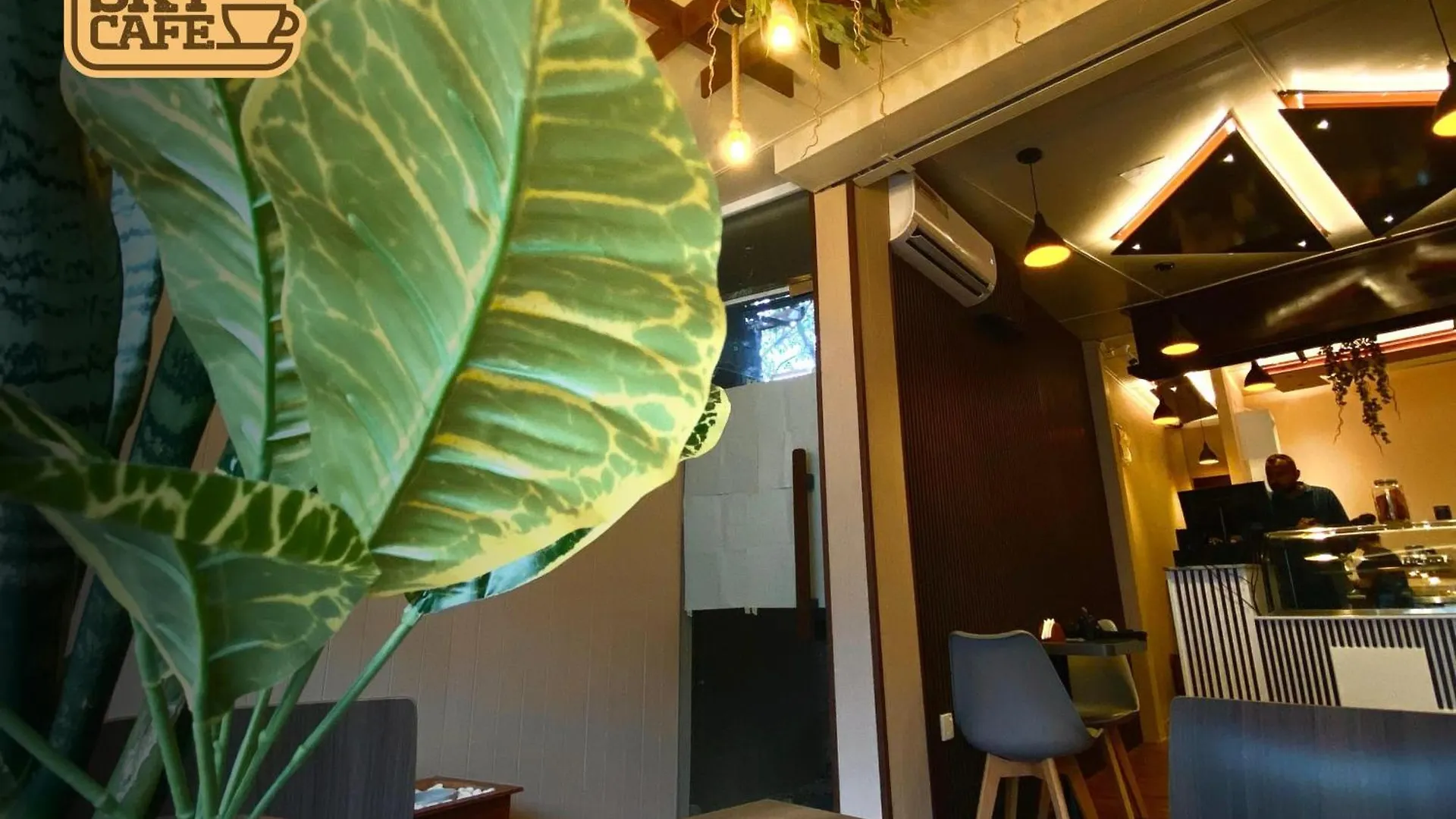Sky Hostel Negombo Sri Lanka